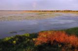 Three Lakes Wildlife Management Area Lake Jackson Rainbow