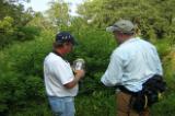 Volunteers in training to map invasive plants at San Bernard NWR; WOE96           