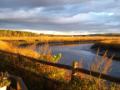 Scarborough Marsh - Golden Sunrise