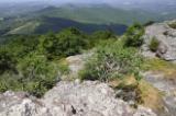 View from summit of Buffalo Mountain Natural Area Preserve