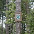Washington Stewardship Forest sign